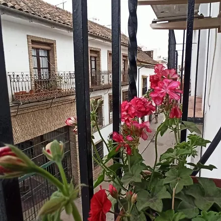 La Antigua 33 아파트 *